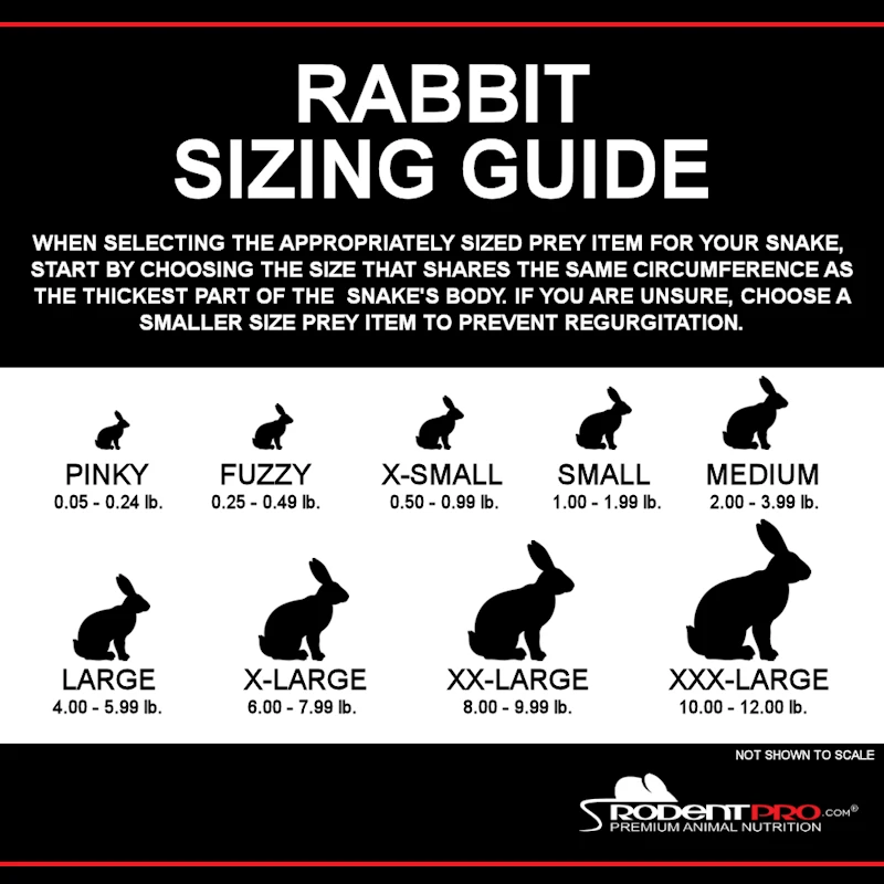Rabbit_Sizing_Guide-800.webp